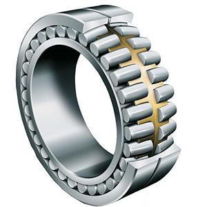 Double Row Cylindrical Roller Bearing